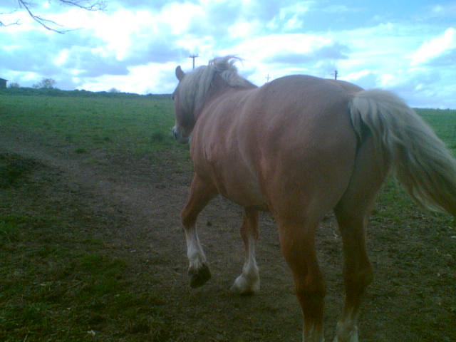 Picture001.jpg