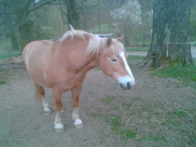 Picture004.jpg