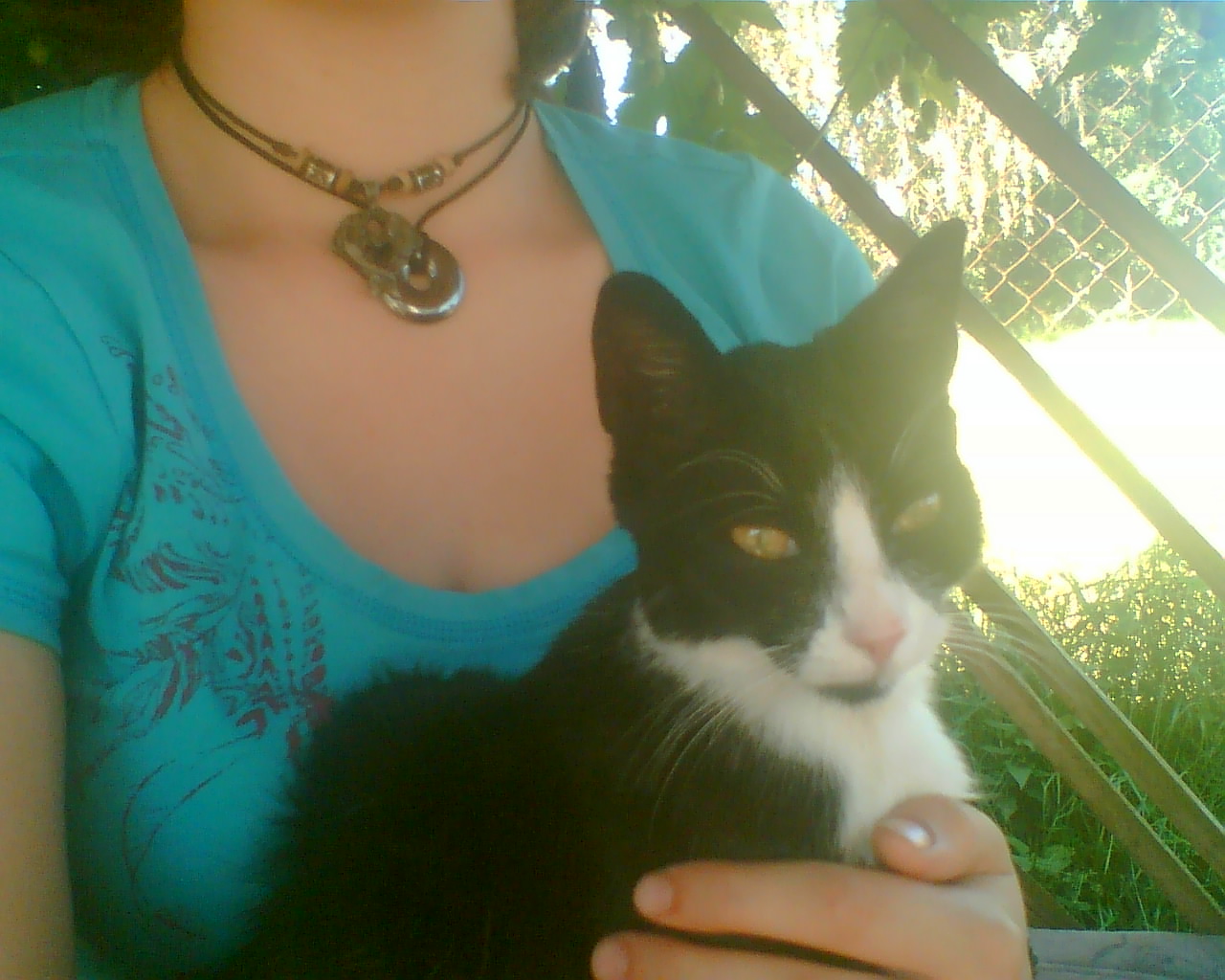Picture000a.jpg