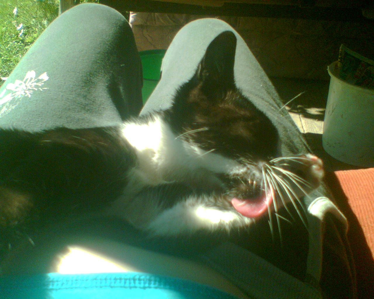Picture002.jpg